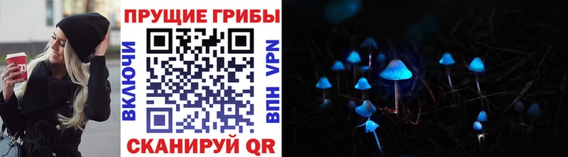Галлюциногенные грибы ЛСД  Каргат 